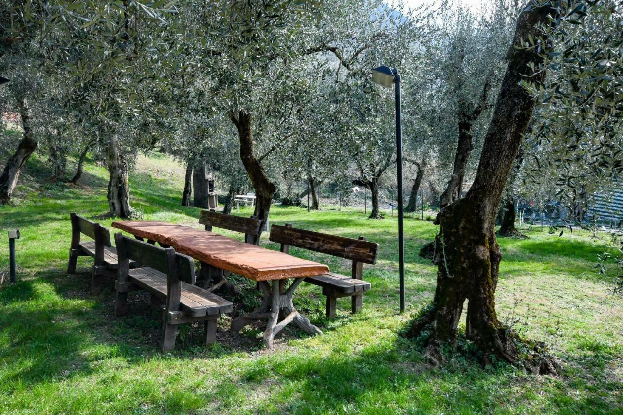 Residence Kormorano Malcesine Lake View 外观 照片
