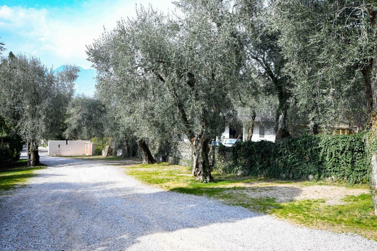 Residence Kormorano Malcesine Lake View 外观 照片